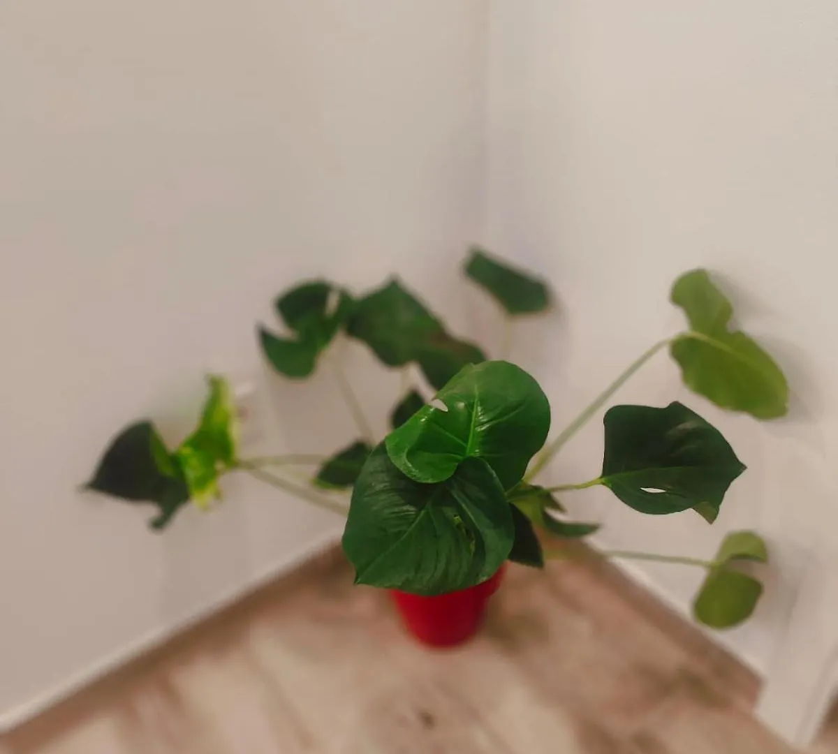 Apartamento Apartament Seville In Alameda De Hercules